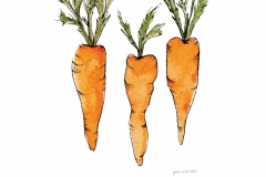 Carrots